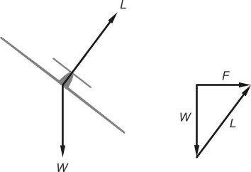 Fig6