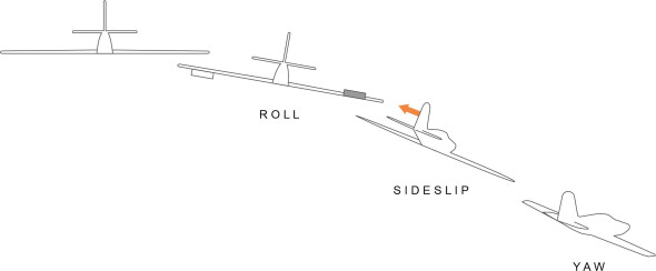 Fig6