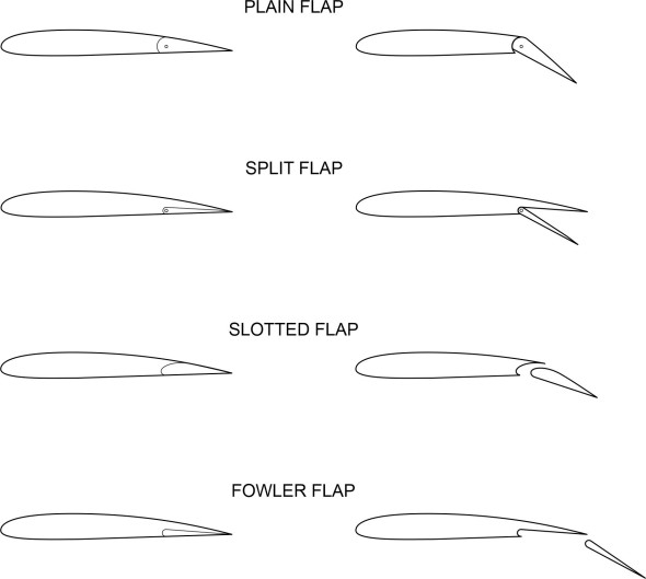 Fig8