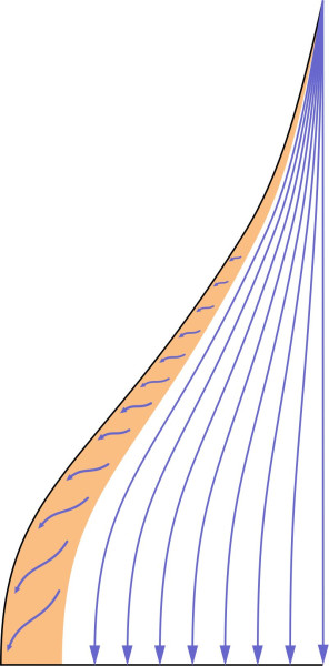 Fig10