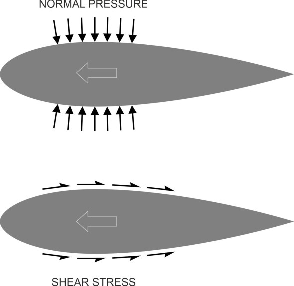 Fig1