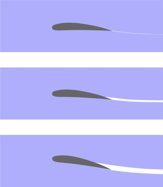 Fig8