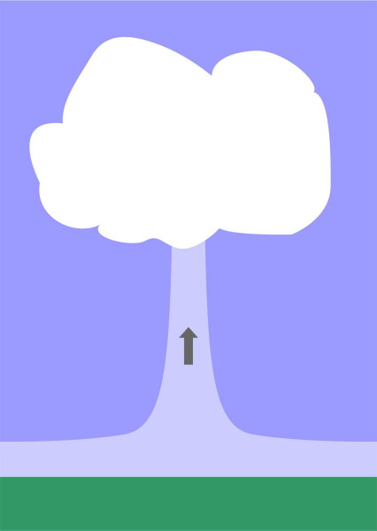 Fig10