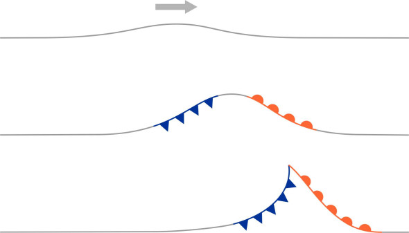 Fig13