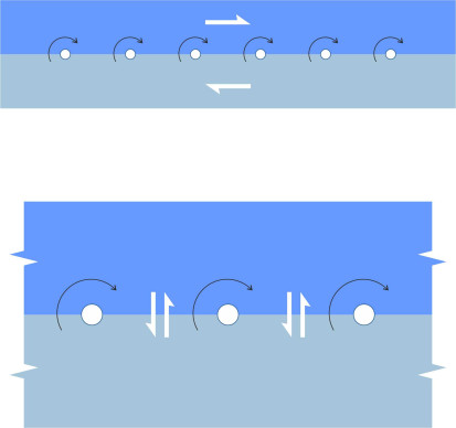 Vortexsheet